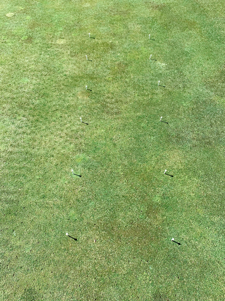 ladder of tees drill